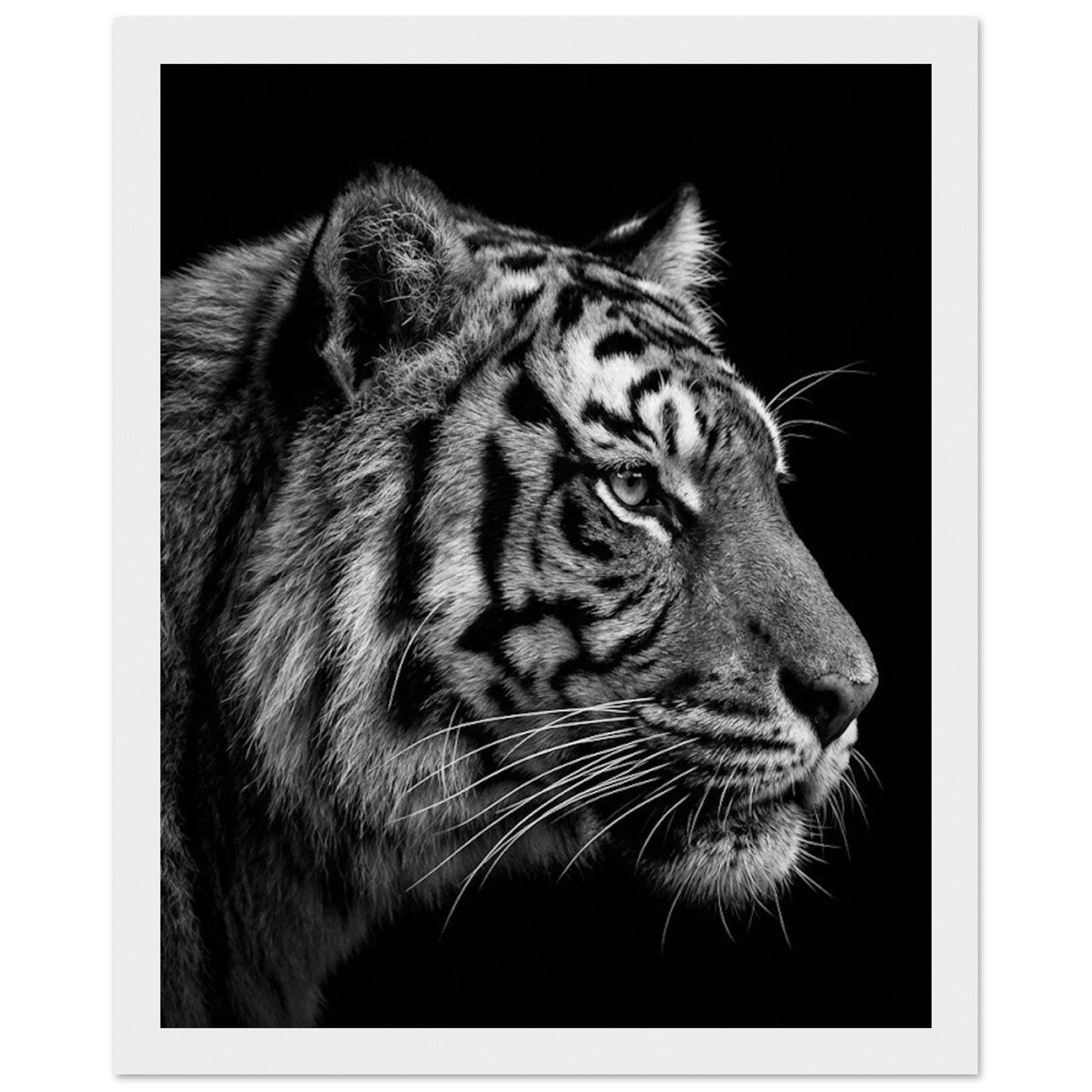 f3402c11-0ac5-48bd-a7fc-003a2bbee762