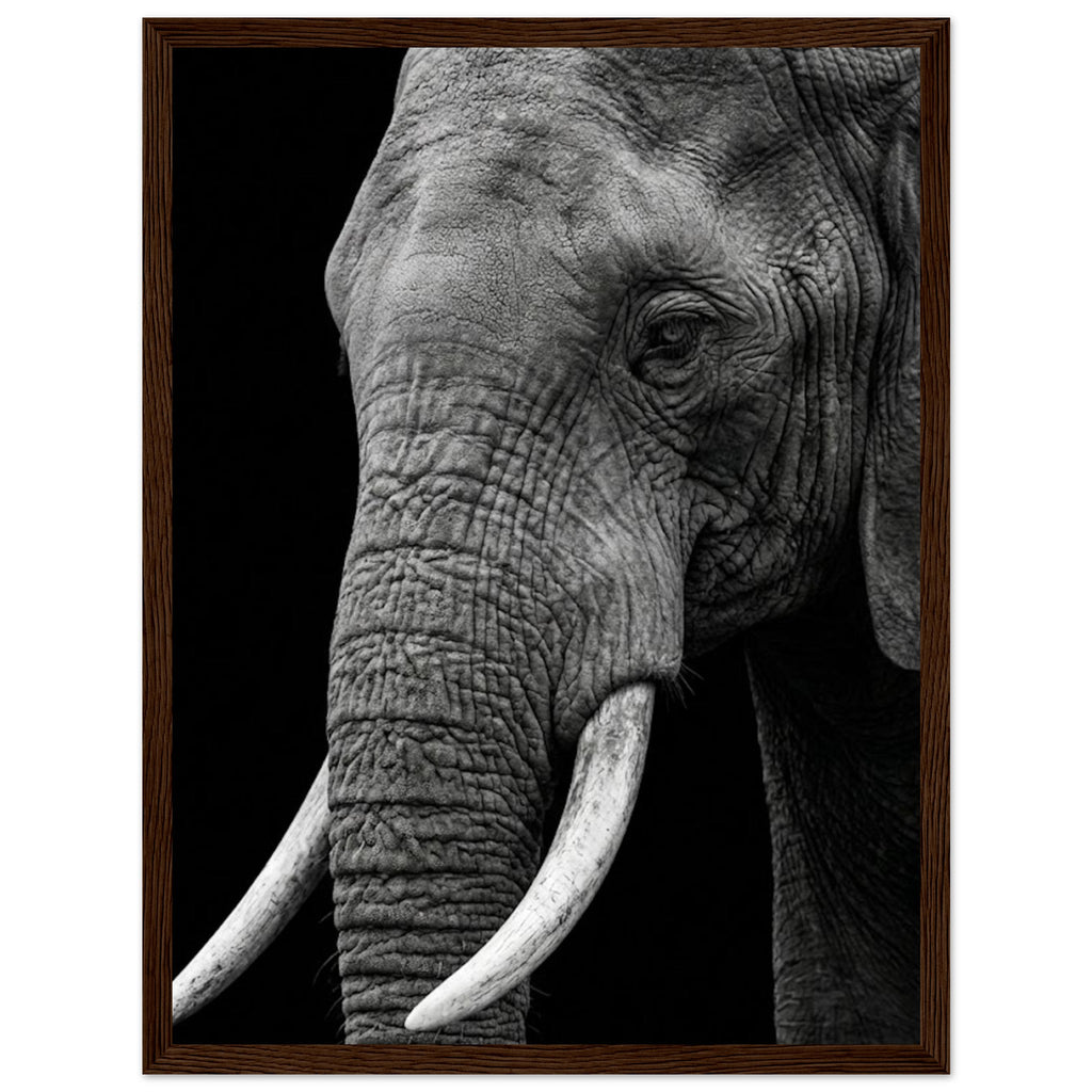 f49b1d07-7b5c-4d41-99a5-1f7d51ec72d5