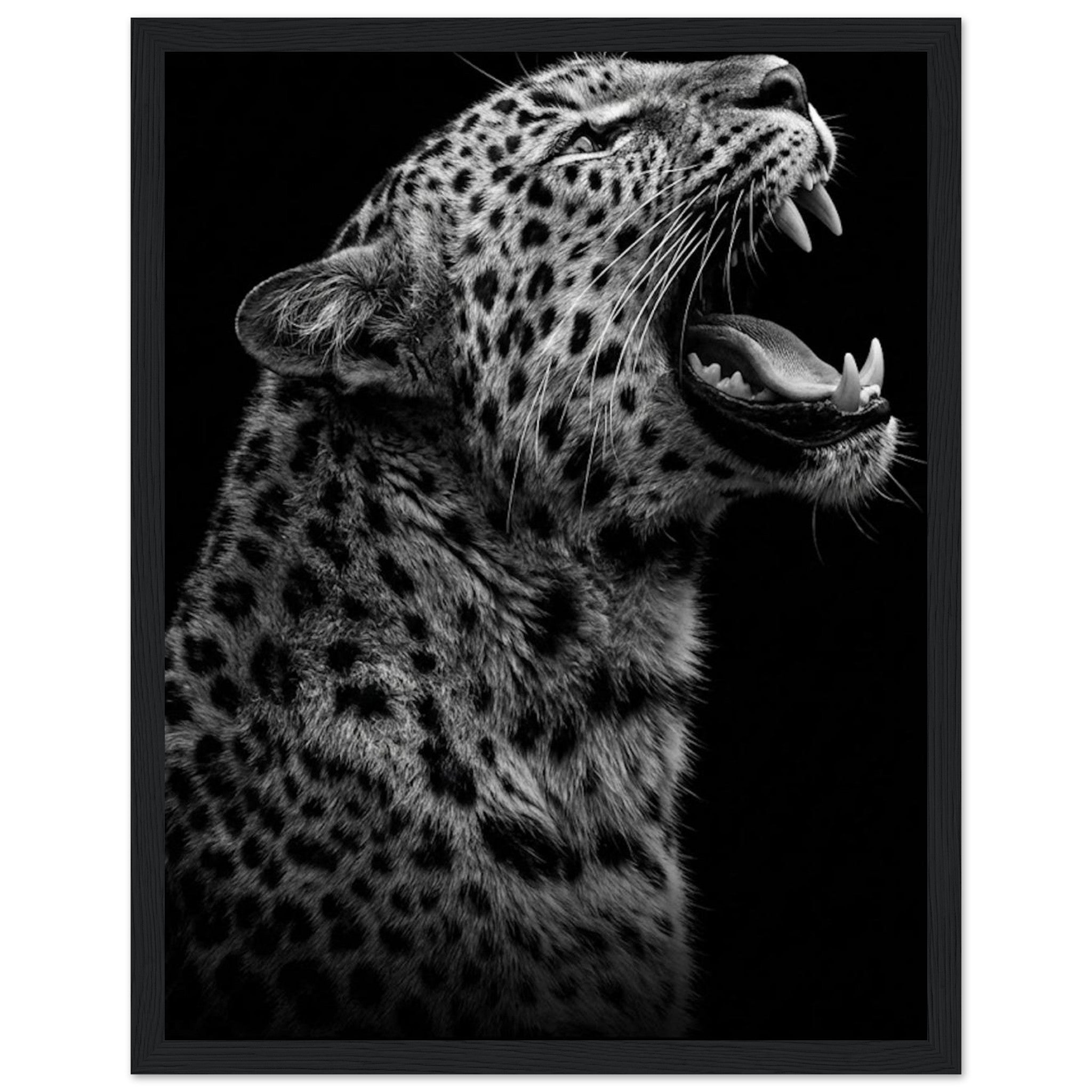 f72596e5-cde0-4b37-91e5-8cbc51a7d4e3