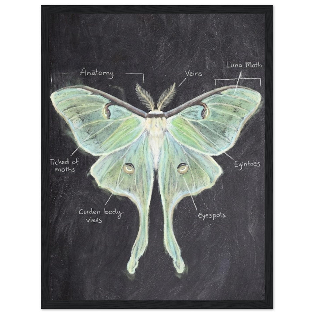 f7dc4228-1ea9-4a61-885e-8786c7dcad9b