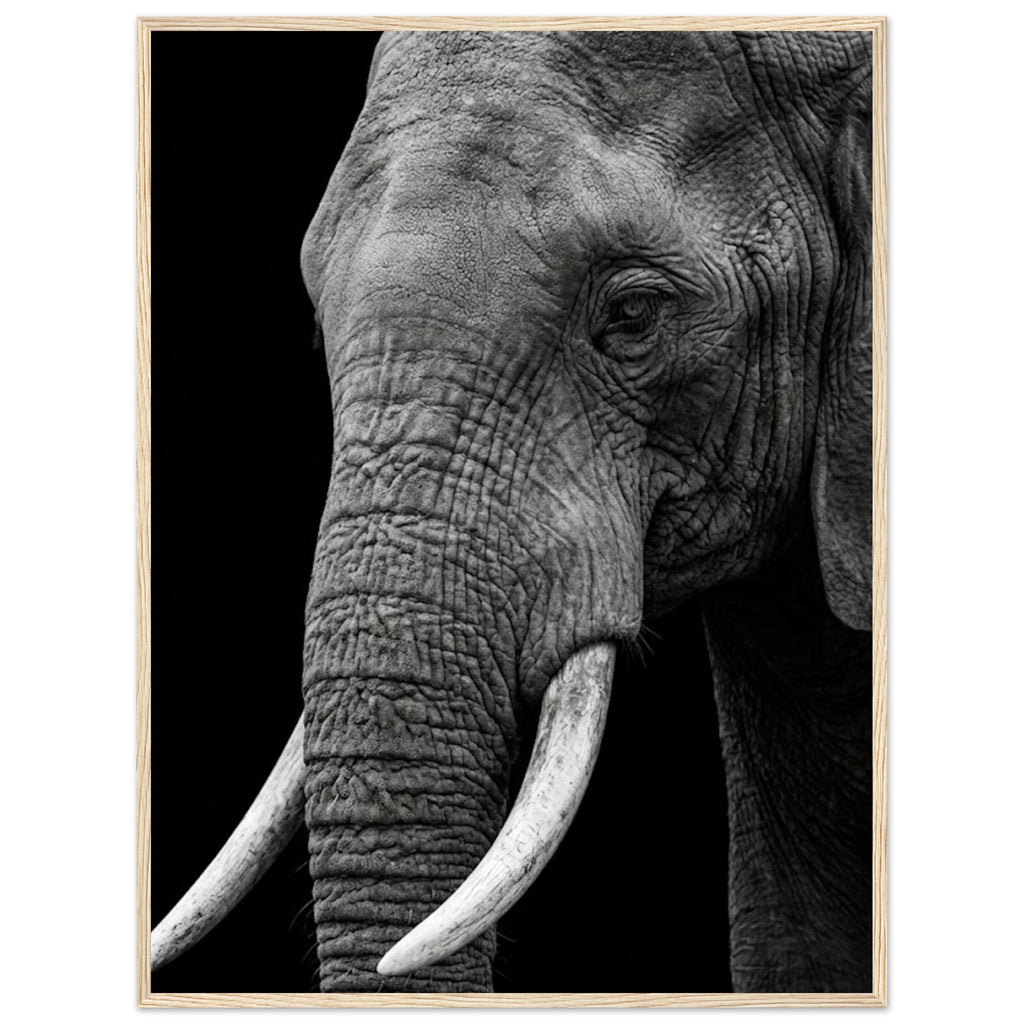 f85627df-2fda-488b-8abf-c8bb9024729e