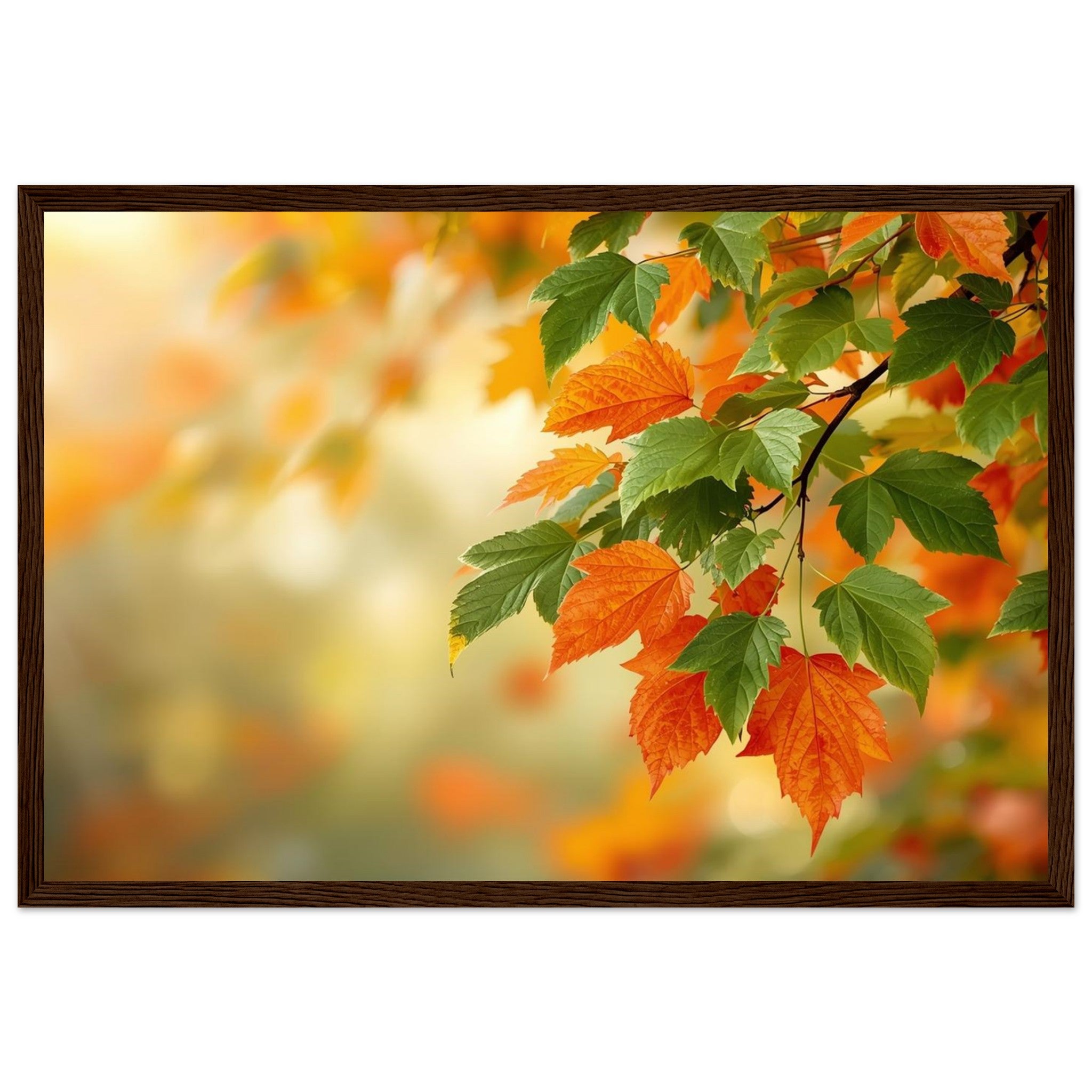 f892b29e-5352-43be-a768-361d58b45a5c