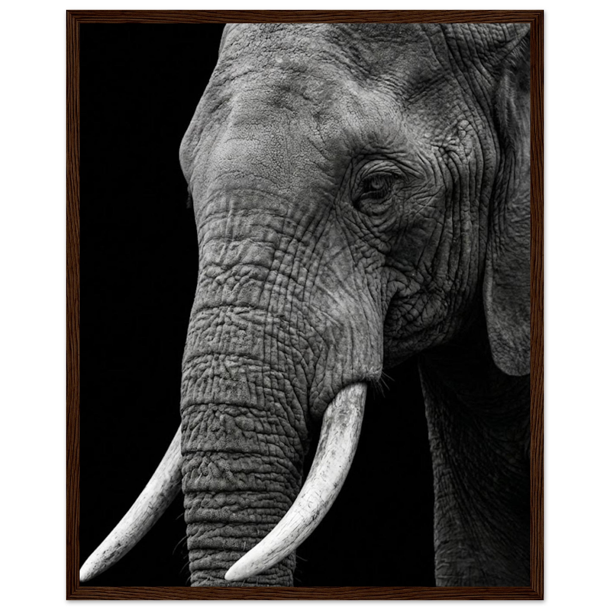 f94ade10-19d2-4ca2-9b1b-7a89dc20bf35