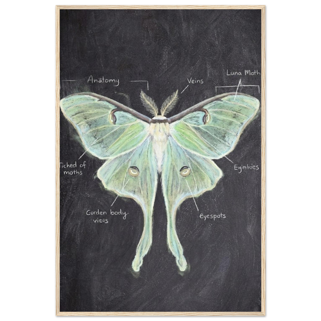 f9eccddd-5097-46af-b2bd-3d505aaeb0b3