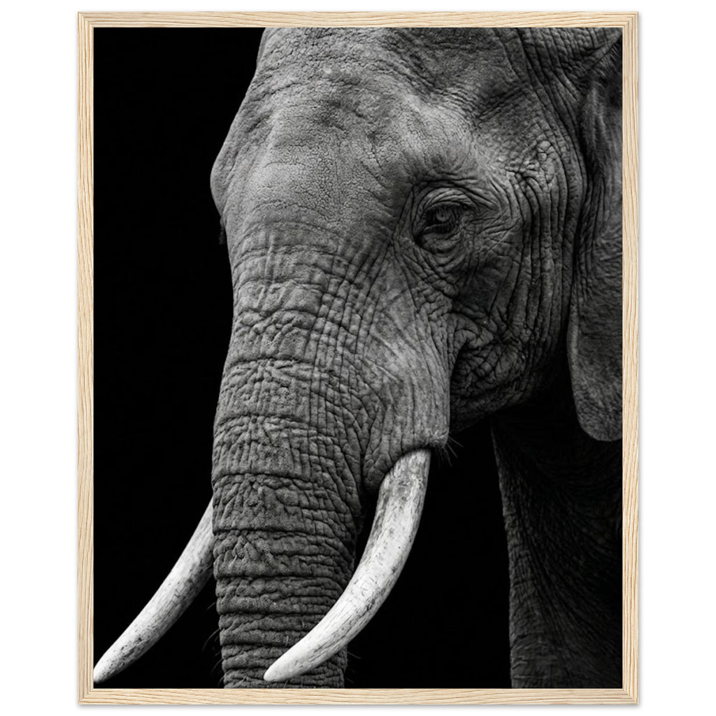 fb0aea10-38a3-44e5-ac3a-9054e438d595