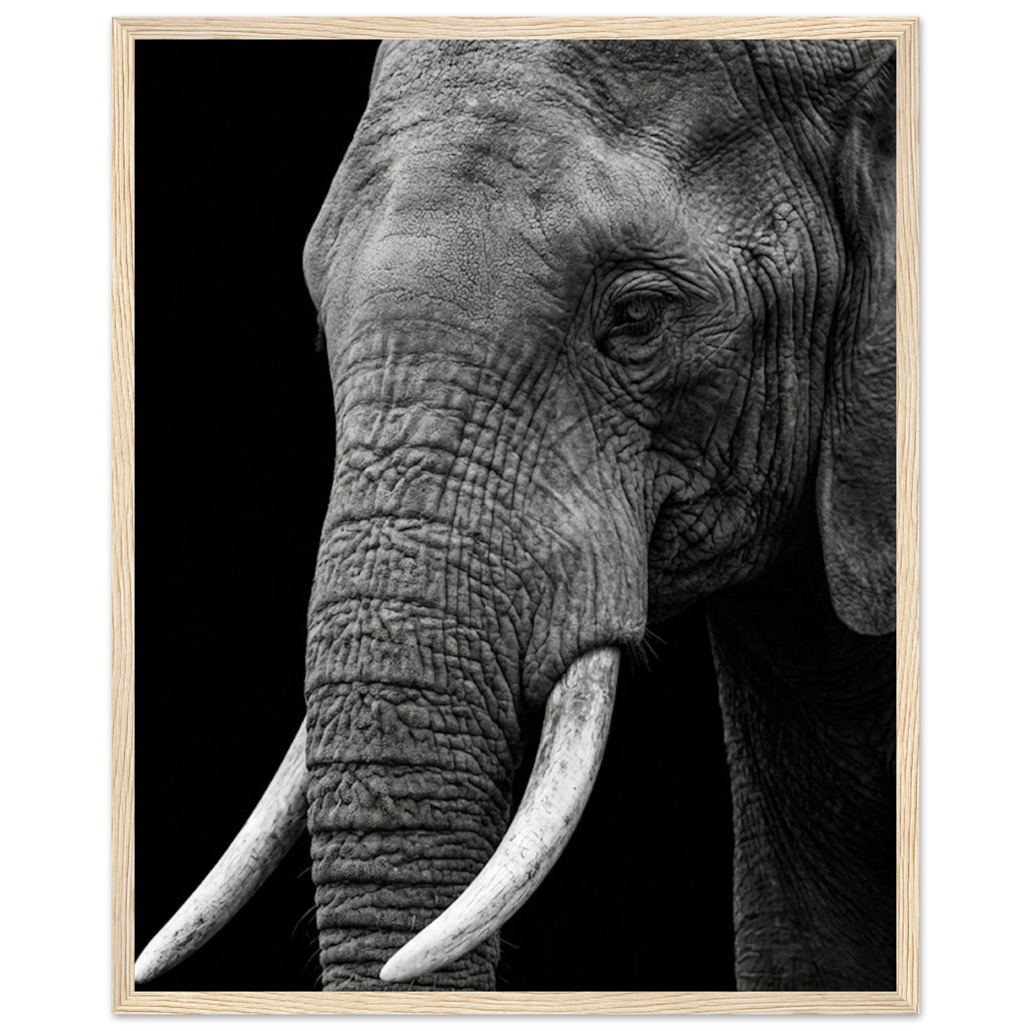 fb0aea10-38a3-44e5-ac3a-9054e438d595