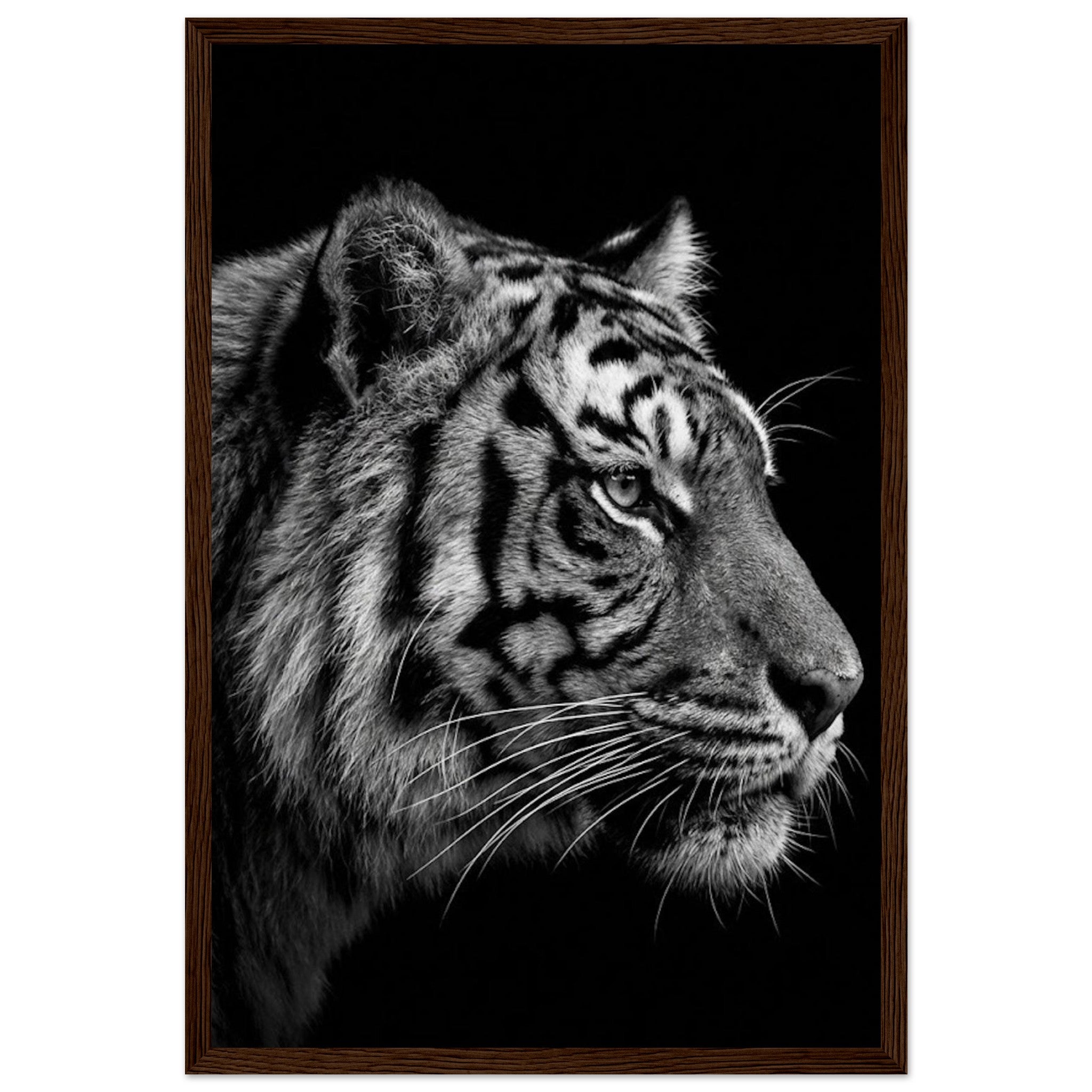 fe0e021e-d26a-47d9-a487-c5cead48c9ba