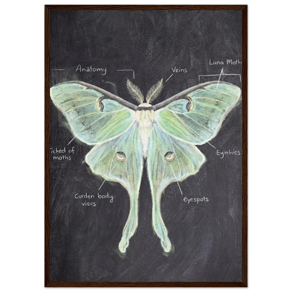 fe1bee0d-b147-4325-b836-bcc6f59fb6d6