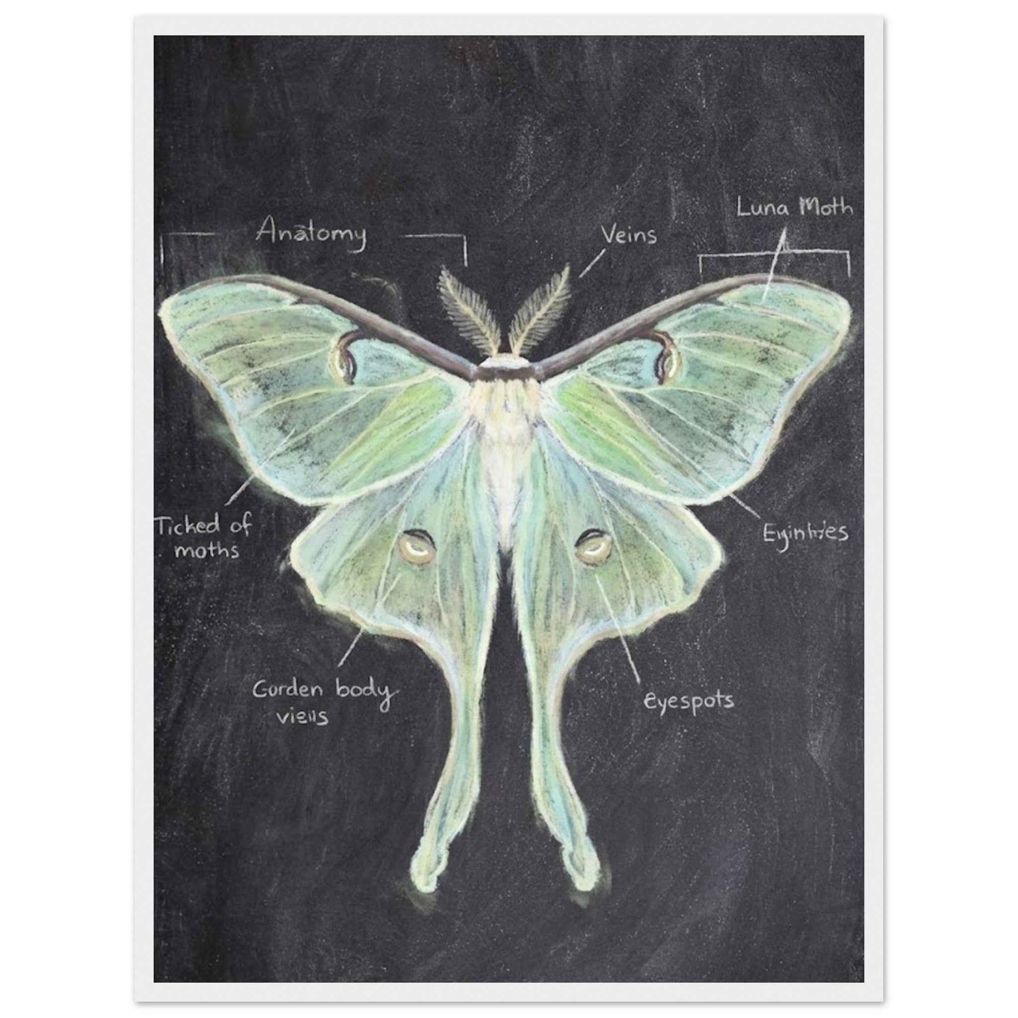 fe22104b-93ec-4049-b3b7-c53553259e6c