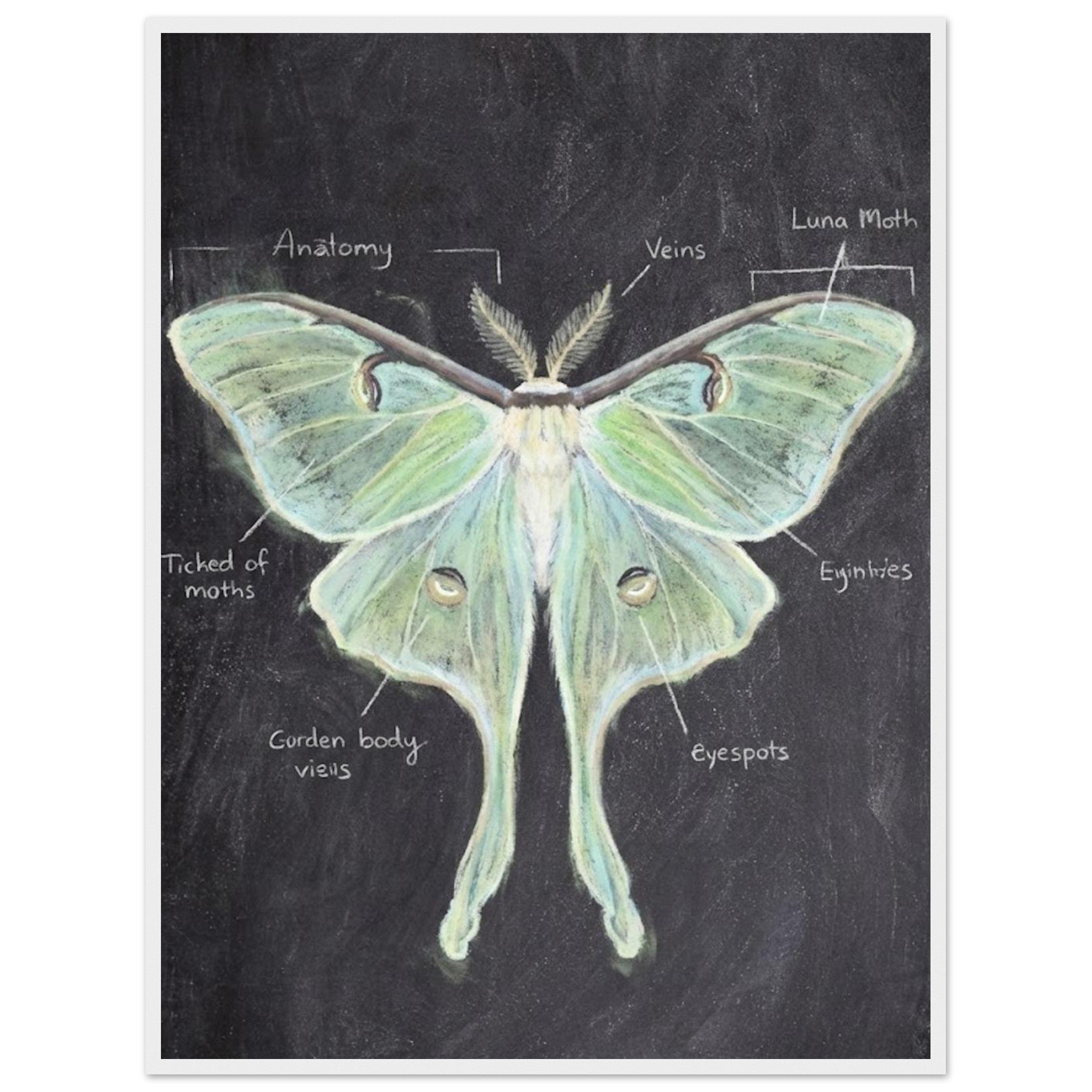 ff0bf2ab-deec-4672-9f56-9515ac9d35aa