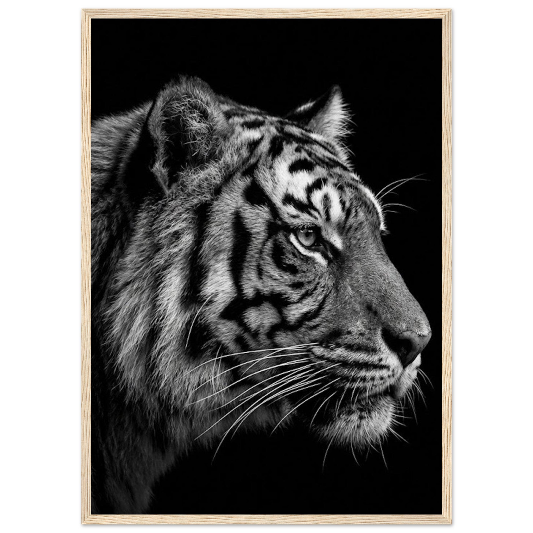 ff567d28-958b-4f8a-b87d-1fd7fd275018